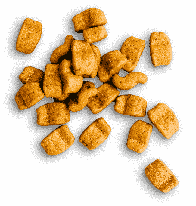 Suministros para mascotas